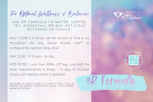 Load image into Gallery viewer, Silicone Bracelet - 3R Formula | PURPLE {Small - 6 ¾"}